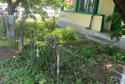 Teren intravilan de vanzare, PUCHENII MARI, 1970 mp - 1