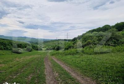 Teren de 15000 mp, în Sava - 2