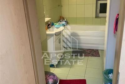 Penthouse cu 4 camere pe 2 nivele In Giroc langa scoala. - 15