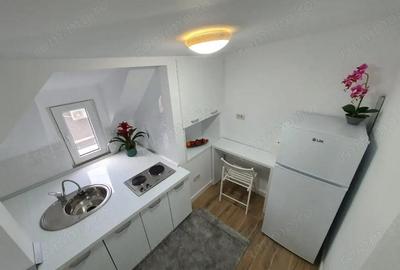 Garsonieră semidecomandată, mobilată în Parcul Carol - 2