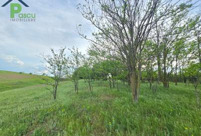 Teren Calarasi, Sarulesti, priveliste lac, 2.200 mp teren, casa 65 mpu - 16