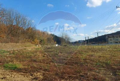 Teren intravilan de vanzare in Hidiselul de Jos, jud.Bihor - 8