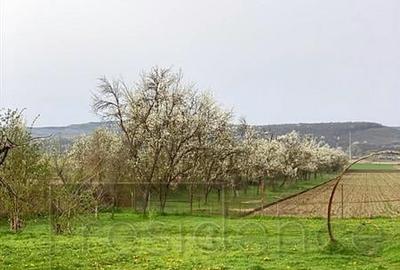 Casa deosebita cu 4 camere, Gherla, Mintiu Gherlii+Teren 120 - 22