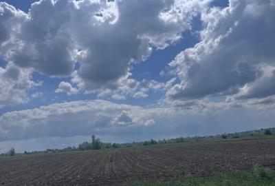 Teren de 7800 mp, în Rădăuți