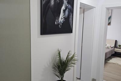 Apartament cu 2 camere decomandat în Giroc - 8