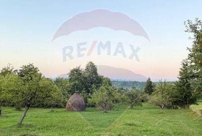 Teren in cea mai turistica localitate din Romania - Breb... - 7