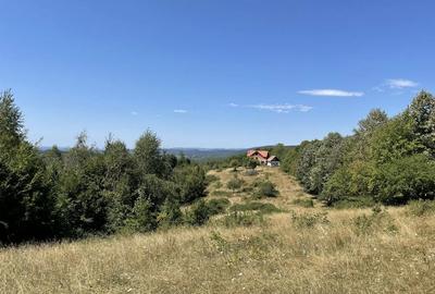 Teren de 45809 mp, în Mădrigești - 8