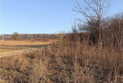 Spațiu comercial, în Sigmir - 4