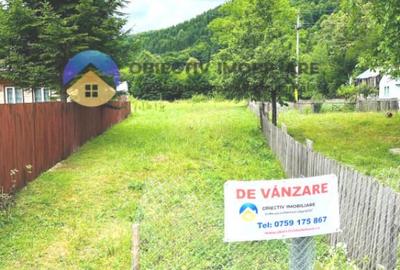 Teren intravilan 8000 mp Tarcau