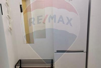 Apartament/Studio de inchiriat Aviatiatiei Park - 7