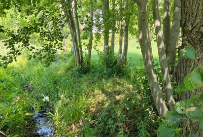 Teren de 1035 mp, în Central - 11