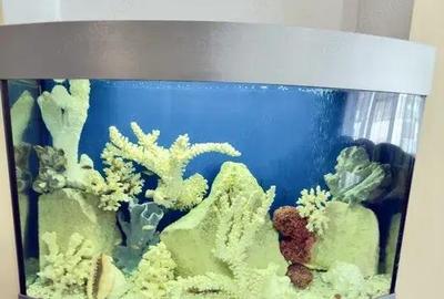 3 Camere zona Pantelimon - 6