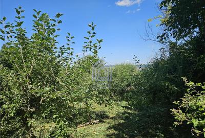 Teren de 705 mp, în Central