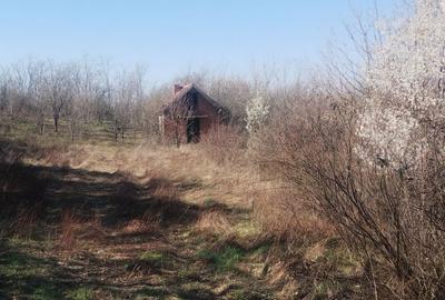 Spațiu comercial, în Dumbrăvița - 2