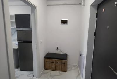 Apartament cu 2 camere semidecomandat, mobilat în Lunca Cetățuii - 8