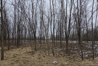 Spațiu comercial, în Teișani - 14