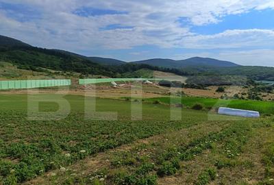Teren extravilan, de vanzare, 6500 mp, zona Crasnei