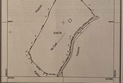 Teren de 12800 mp, în Remeți - 3