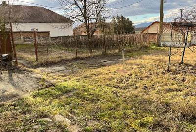 Teren de 8000 mp, în Simeria Veche - 3
