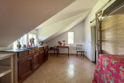 Teren Construcții intravilan de 12041 mp, în Dâmbovicioara - 17