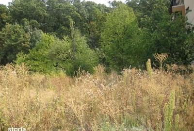 Spațiu comercial, în Dragomirești-Vale - 3