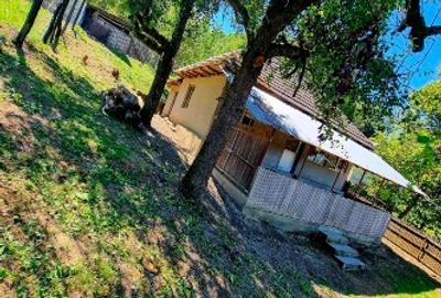 Casă individuală cu 5 camere cu Teren 15000 Mp în Dosu Râului - 5