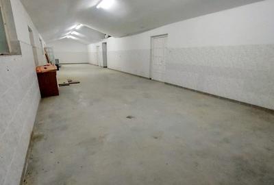 Spațiu industrial, de 1,800 mp, în Ineu - 8