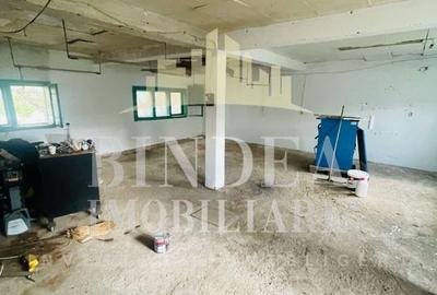 Casa individuala 1542mp teren, garaj- Giarmata - 6