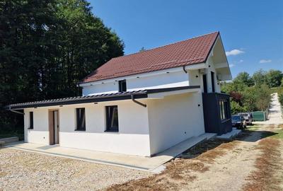 Casă cu 6 camere cu Teren 1400 Mp în Calea Caransebeșului - 13