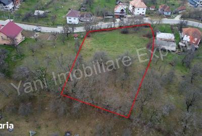 Teren de 2674 mp, în Cepari - 11