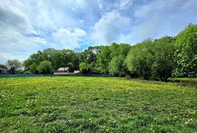 Spațiu comercial, în Lunca Calnicului - 8