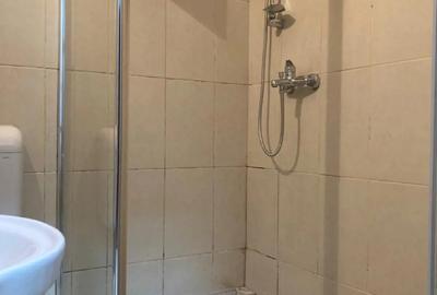Apartament cu 1 camera LUX in vila - 5