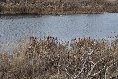 Teren de 110000 mp, în Petrești - 7
