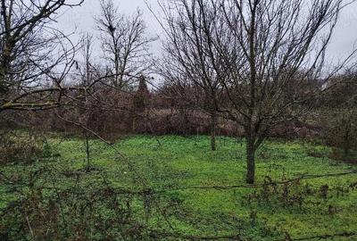 Casă cu Teren 2914 Mp în Bărcănești - 1