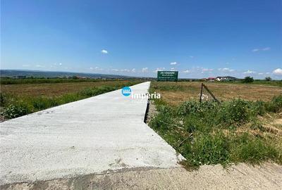 Teren Construcții intravilan de 884 mp, în Copou - 1