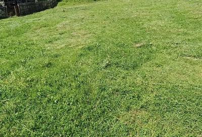 Teren de 4000 mp, în Aninoasa - 4