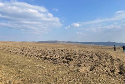 Teren Construcții intravilan de 5000 mp, în Sirețel - 14