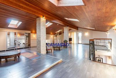 Vila eleganta de inchiriat - Pipera - 17