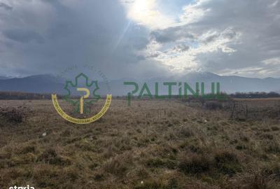 Teren de 3600 mp, în Porumbacu de Jos