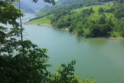 Teren Construcții intravilan de 73000 mp, în Siriu - 8