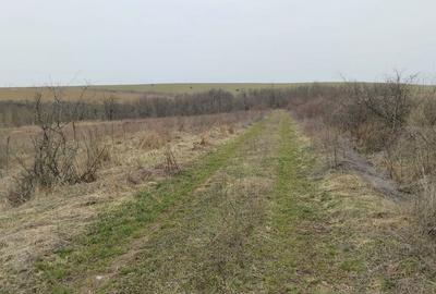 Spațiu comercial, în Podu Turcului - 1