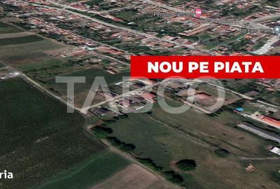 Spațiu comercial, în Șura Mare - 5