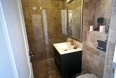 Apartament cu 2 camere decomandat, mobilat în Banu Manta - 11