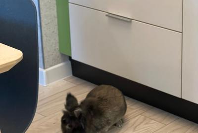 Apartament cu 2 camere semidecomandat, mobilat în Politehnica - 21