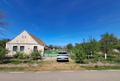 Casă individuală cu 4 camere cu Teren 2676 Mp în Vălcani - 1