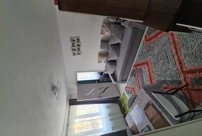 Apartament cu 2 camere nedecomandat în Central - 10