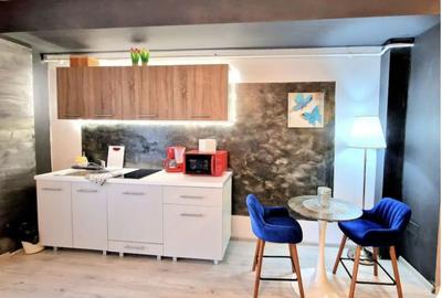 Garsonieră decomandată în Roșu - 7