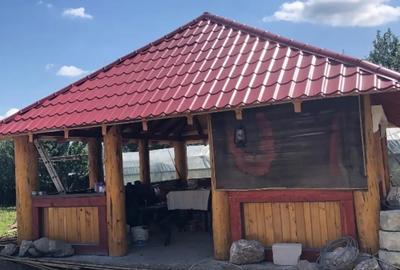 Casă cu 3 camere în Vad - 7