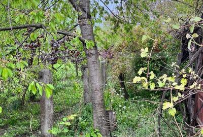 Casă cu 2 camere cu Teren 714 Mp în Siret - 6