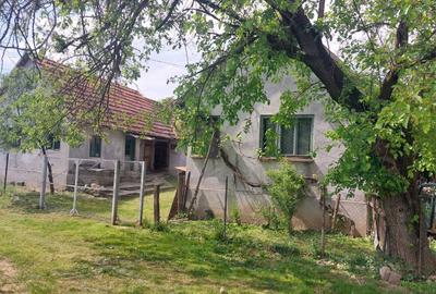 Casă cu 3 camere în Nadăș - 6